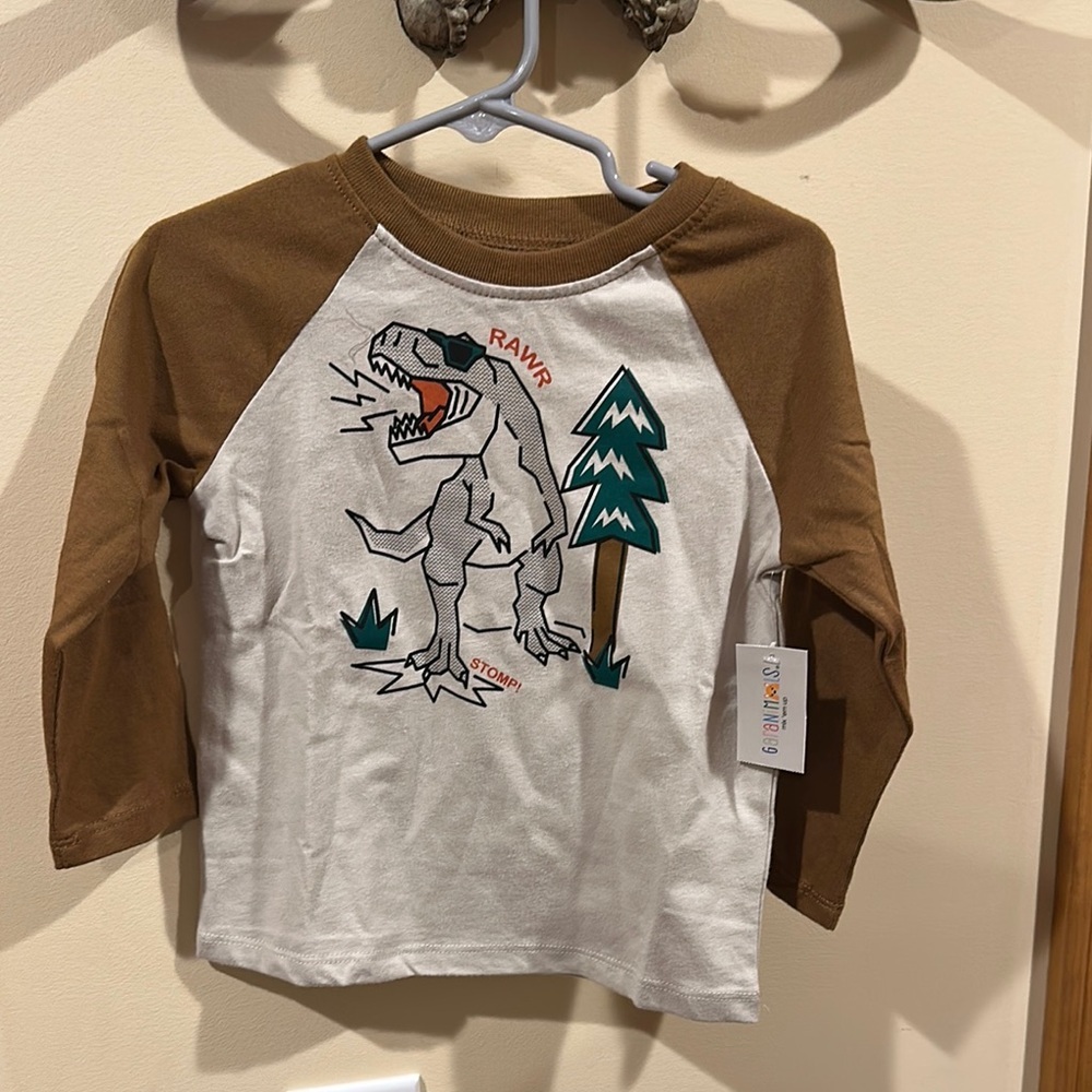 Kids Dinosaur Graphic Raglan Tee - Brown & White